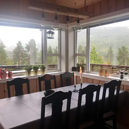 12 Person In Skare-by Traum